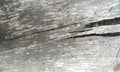 Old cracky wood. Royalty Free Stock Photo