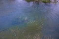 Old Crater in Manziana - carbon dioxide coming out of the earth through water and forming bubbles