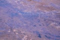 Old Crater in Manziana - carbon dioxide coming out of the earth through water and forming bubbles