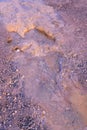 Old Crater in Manziana - carbon dioxide coming out of the earth through water and forming bubbles