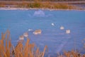 Old Crater in Manziana - carbon dioxide coming out of the earth through water and forming small geyser