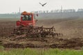 An old crawler tractor is working in the field. A crow flies over it Royalty Free Stock Photo