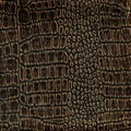 Old crocodile leather Royalty Free Stock Photo