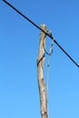 Old crooked wooden electrical utility pole connected with thick electrical wires Royalty Free Stock Photo