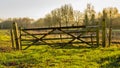 Old and crooked wooden gate near a nature area Royalty Free Stock Photo