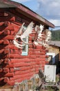 Canada. Side view of row of moose skull with antlers hanging outside from a red wooden lodge. Royalty Free Stock Photo