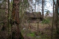 An old, crumbling abandoned house in the woods.an ancient, century-old house, living out its last years