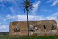 Old crumbling brick building with palm tree and blue sky in the countryside of Sicily, Italy. Royalty Free Stock Photo