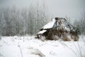 An old crumbling hut in the winter forest Royalty Free Stock Photo