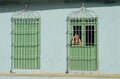 Old Cuban woman looking out of the window