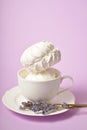 Old cup filled with airy dessert zefir zephyr with lavender on tea plate, isolated on pastel background