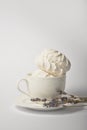 Old cup filled with airy dessert zefir zephyr with lavender on tea plate, isolated on white background