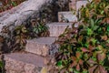 Old curved staircase with stone steps carved into the rock Royalty Free Stock Photo