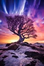 Old curved tree in the evening light.