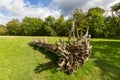 Old cut tree on a meadow in Keswick, Cumbria, UK Royalty Free Stock Photo