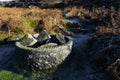 Old cylindrical gritstone object on the slopes of Burbage Edge