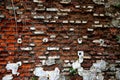 Old damage red bricks background pattern texture Royalty Free Stock Photo