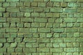 An old damaged brick wall colored in green as a background Royalty Free Stock Photo