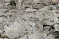 Old damaged brick wall with stucco and moss