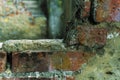 Old damaged brick wall texture. Royalty Free Stock Photo