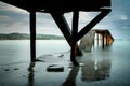 Old and damaged bridge at Caribbean Island Tobago, Trinidad