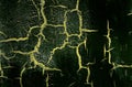 Old Damaged Cracked Paint Wall, Grunge Background, dark green and yellow color Royalty Free Stock Photo