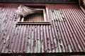 Old damaged house facade with window and curtain Royalty Free Stock Photo