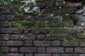 Old damaged rustic brick wall with green moss - high quality texture / background Royalty Free Stock Photo