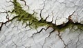 Old, damaged tree trunk with rusty, weathered, eroded paint generated by AI