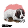 Old Danish pointer puppy purebred dog digital art Royalty Free Stock Photo