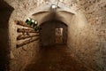 Old, dark basement corridor in ancient house