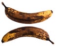 Old dark brown banana