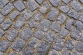 Old dark granite stone floor pattern as background in Italy Royalty Free Stock Photo