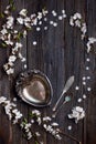 Old dark rustic wooden table surface with white spring blossom flowers and antique silver dishware
