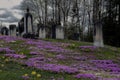 An old, dark, spooky graveyard on a hill Royalty Free Stock Photo