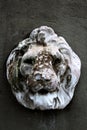 Old darkly weathered stained deeply eroded white lion mounted on a dark gray cement wall Royalty Free Stock Photo