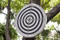 Old dart board hanging on a tree