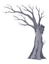 Old dead tree, rough spooky bark, dry naked branch silhouette. Vector scary forest, leafless trunk. Nature ecology Royalty Free Stock Photo