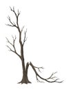 Old dead tree, rough spooky bark, dry naked branch silhouette. Vector scary forest, leafless trunk. Nature ecology Royalty Free Stock Photo