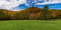 Old tree trunk contrasts with vibrant Vermont fall colors Royalty Free Stock Photo