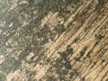 Old decayed wood. Aged wood surface. Vintage background with shabby old wood