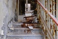 Old decaying furniture on a dilapidated rusting staircase