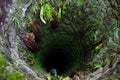 Old deep well with water Royalty Free Stock Photo