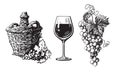 Old demijohn, glass of wine, bunch of grapes in vintage engraving style. Set of wine related hand drawn elements. Vector