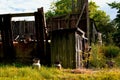 Old, demolished barn, milk racks and cages