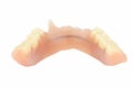 Old dentures isolated on white background Royalty Free Stock Photo