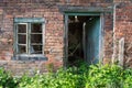 An old derelict, rotted green window and door frame against a red brick wall, with overgrown plants. Royalty Free Stock Photo