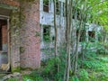 old and destroyed brick building in the forest. Royalty Free Stock Photo