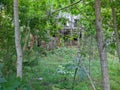 old and destroyed brick building in the forest. Royalty Free Stock Photo