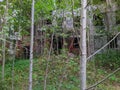 old and destroyed brick building in the forest. Royalty Free Stock Photo